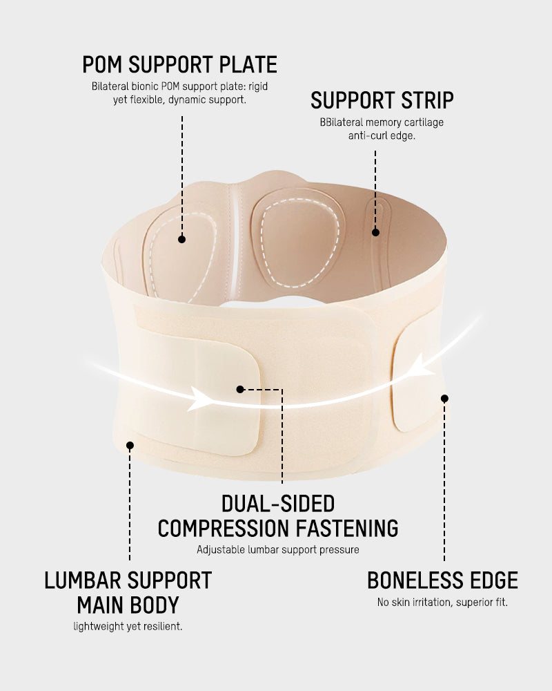 Lower Back Support Belt - FirmaControl