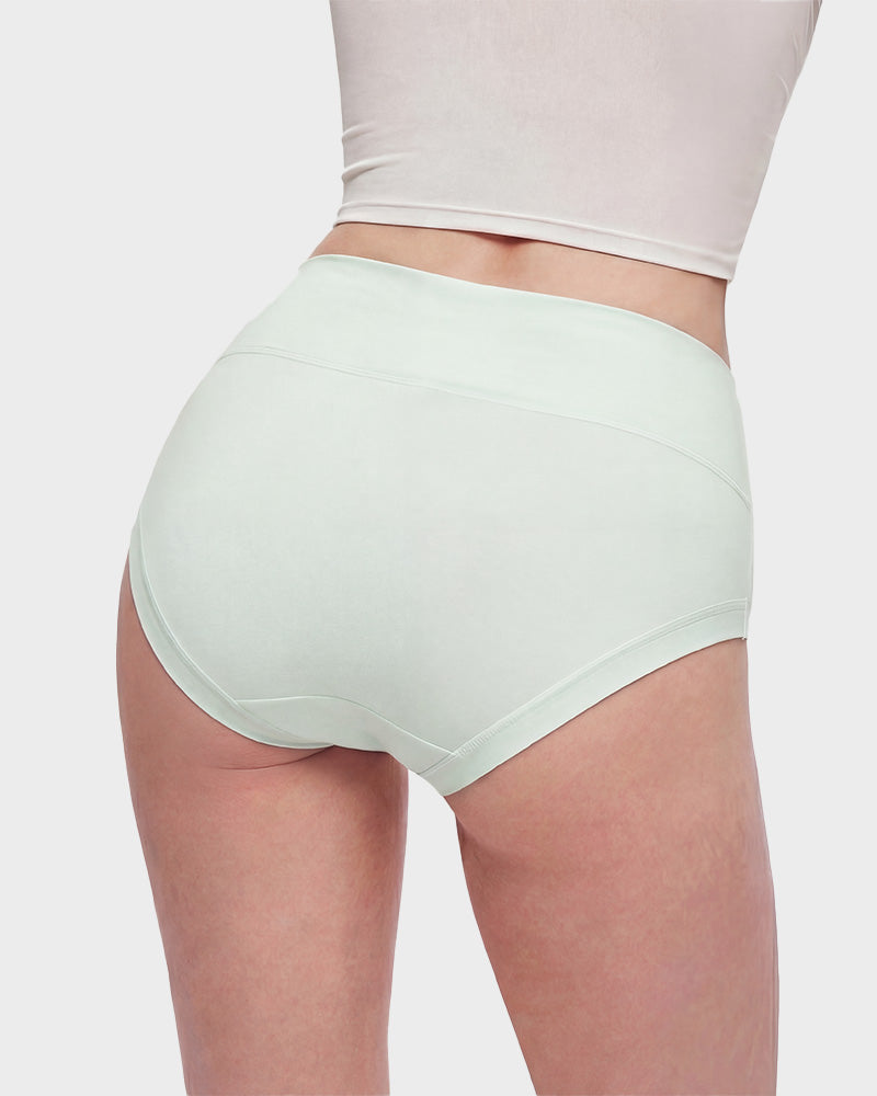 Seamless High-Waist Full Coverage Cotton Knickers 5-Pack - FirmaSoft